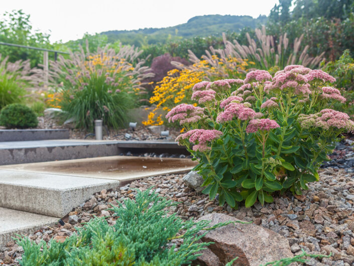 Gartenbau König